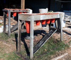 Chicken cones are set on a wooden stand.